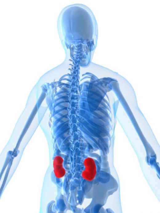  kidney disease with such symptoms as edema, soreness of the lower back, 